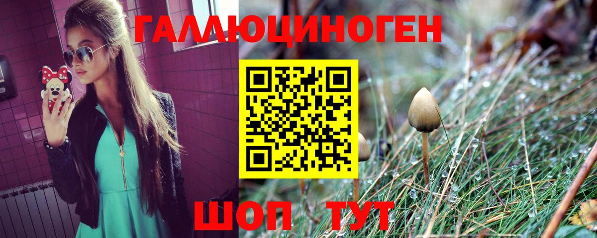 Кандалакша  Галлюциногенные грибы GOLDEN TEACHER  купить наркоту  Вход с VPN 