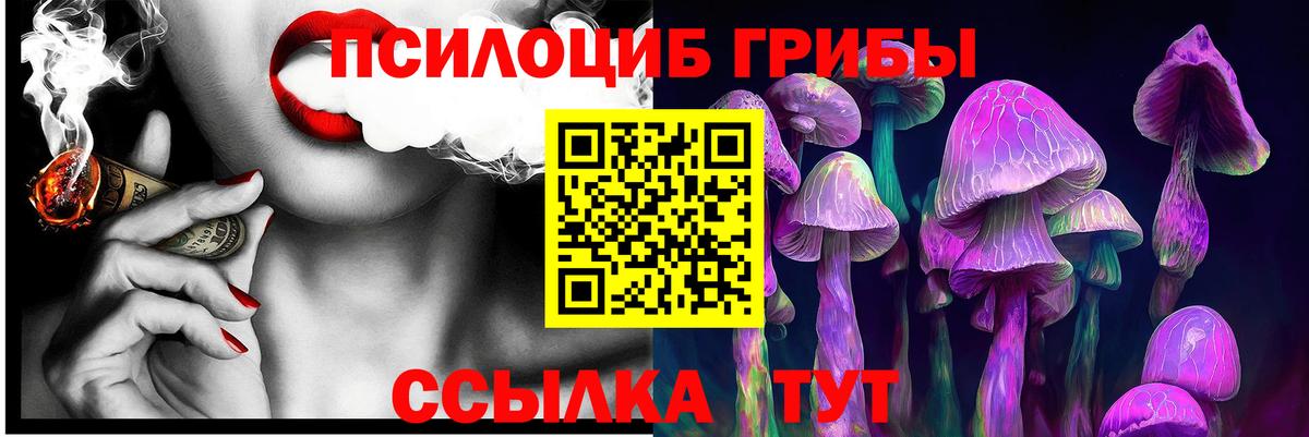 Псилоцибиновые грибы MAGIC MUSHROOMS Кандалакша